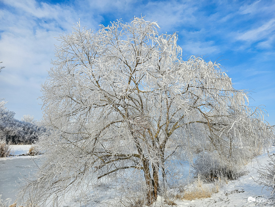 Fehérbe öltözött óriás