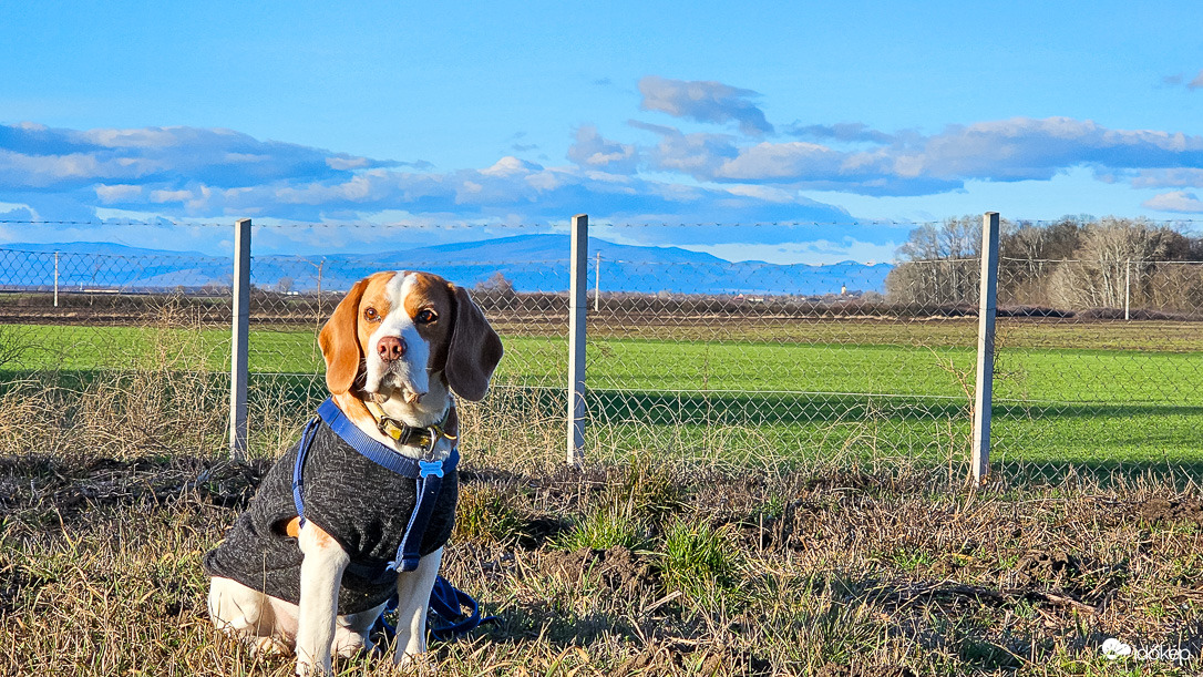 Kisütött a nap. Ugye Maci?