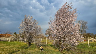 Szélcsatorna-teszt folyamatban 