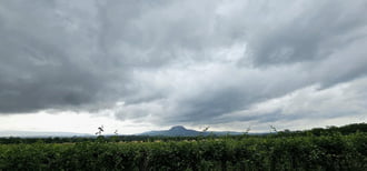 Kisapáti