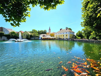Tapolca