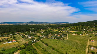 Ecséri szőlőhegy