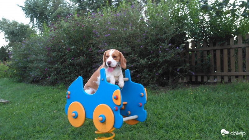 Elvan a gyerek ha játszik...