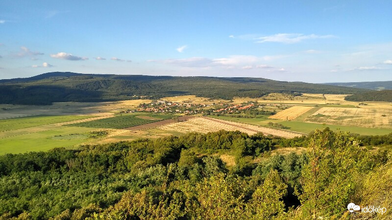 Halápról