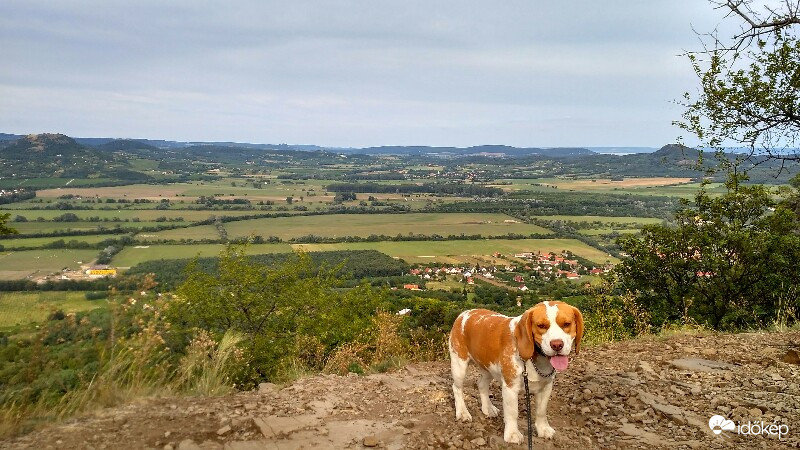 Szent György-hegy bazaltorgonáitól