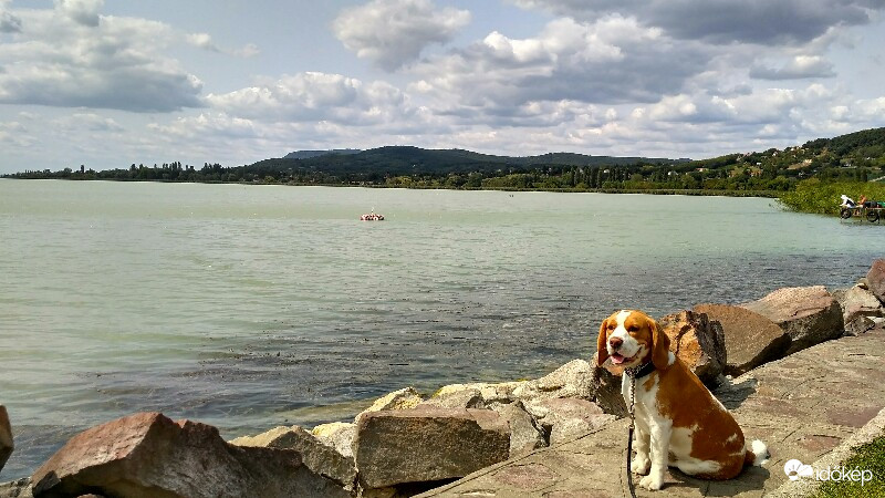 Pálköve strand