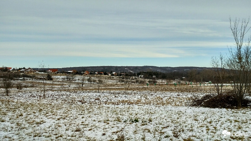 Gödöllő határában