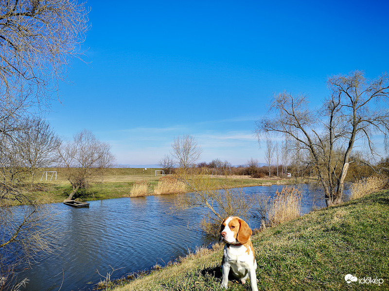  Jászjákóhalmi horgásztó