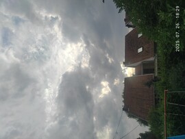 Gyula