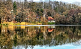 bnyroberta fotója