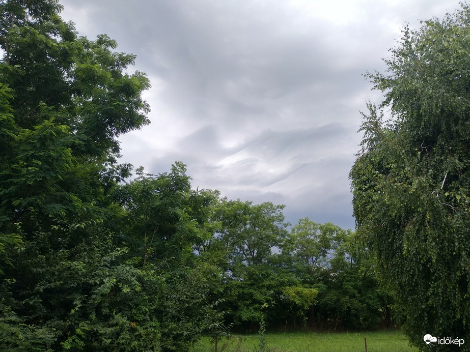 Tiszatardos
