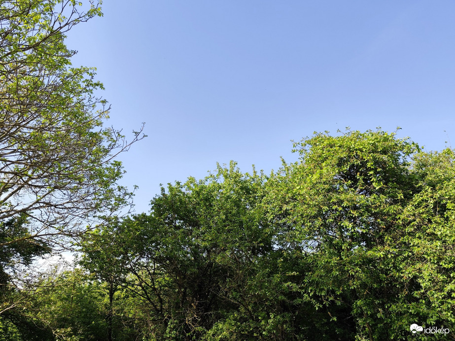 Tiszatardos