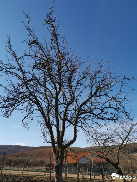 Nyíregyháza