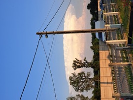bognara fotója