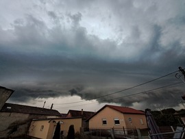 bognara fotója