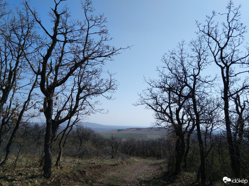 Gyöngyöspata