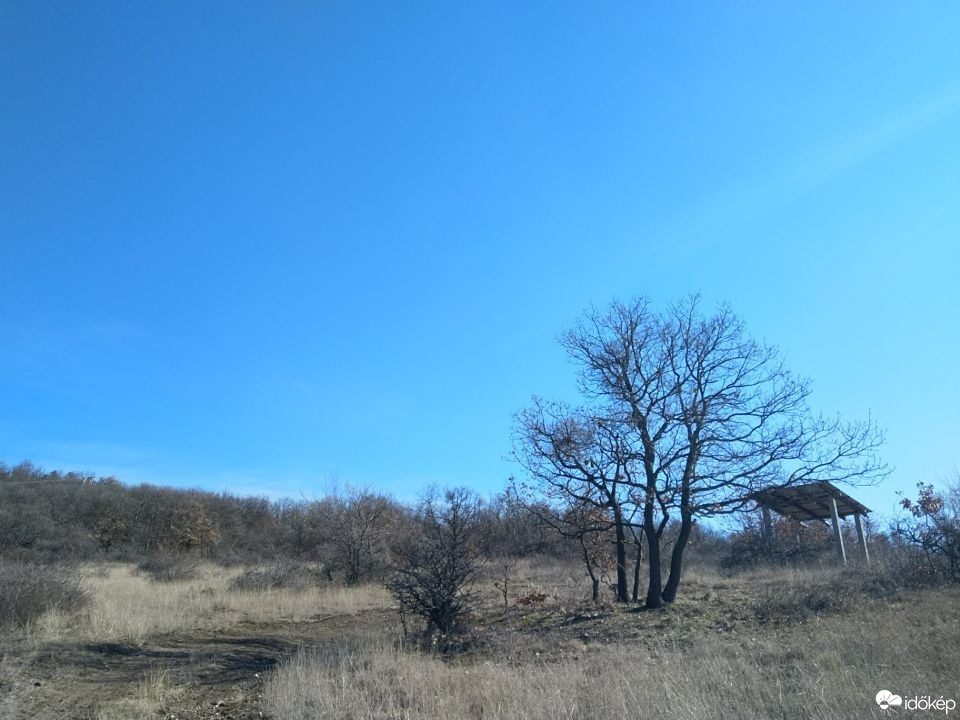Gyöngyöspata