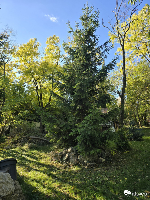 Üröm