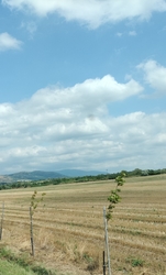 Kékes felhők 