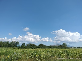 Felhők 
