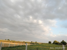 Felhők 