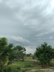 Felhők 