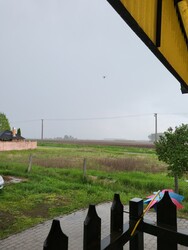 Erdőtelek