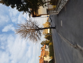 Miskolc