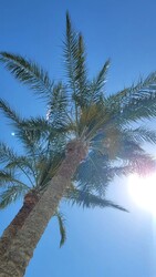 الغردقة