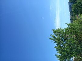 Miskolc