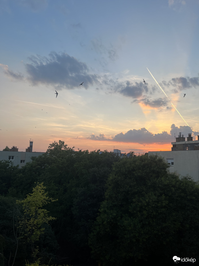 Naplemente és a fecskék 