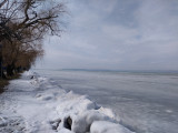 Balaton