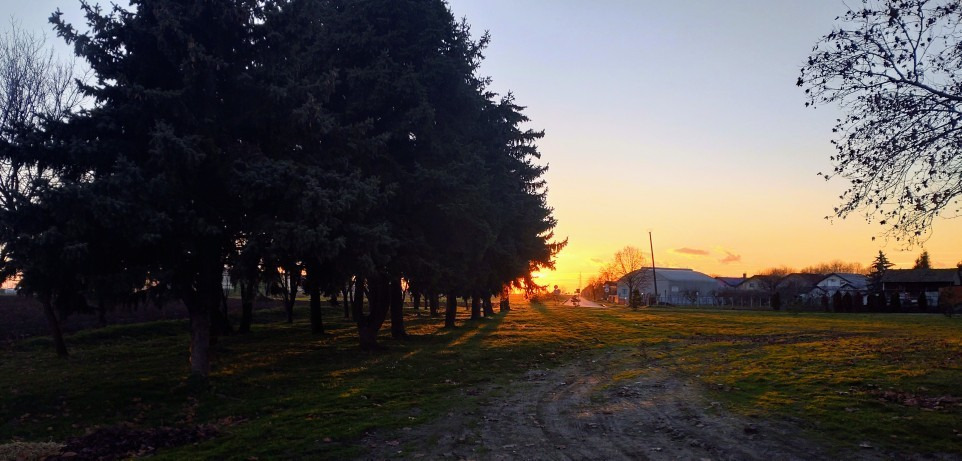 Kneževi Vinogradi