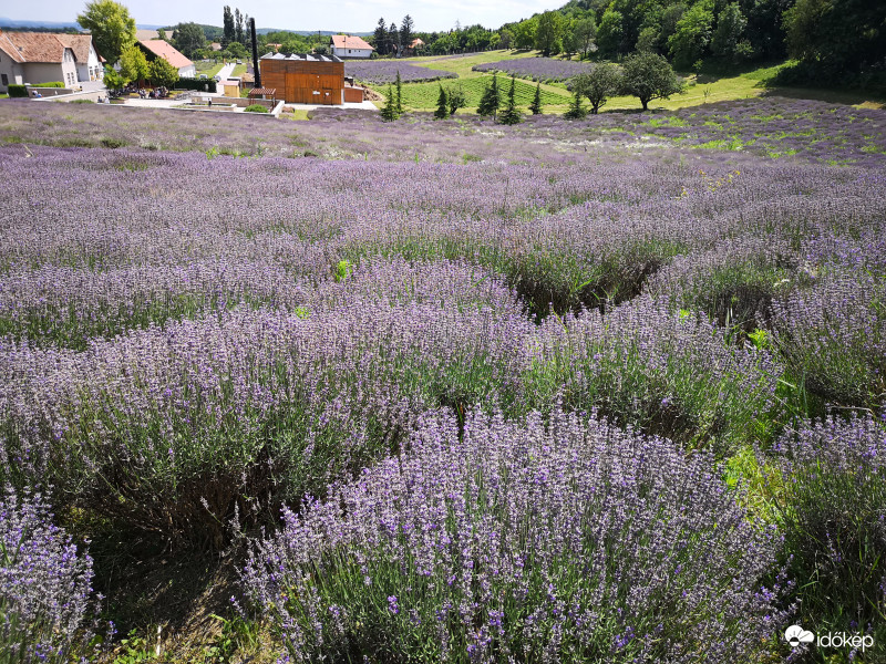 Pannonhalma