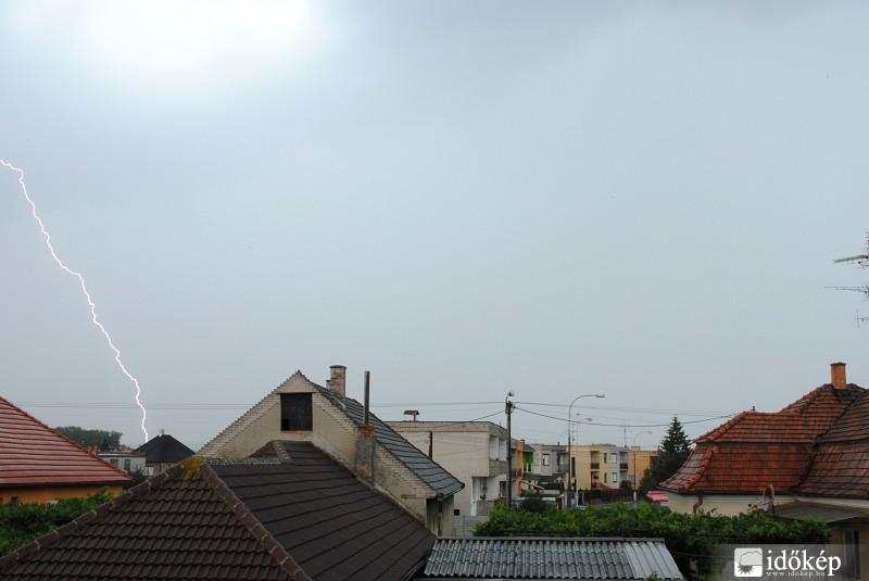 Gúta