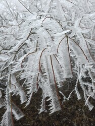 Budapest XVII.ker - Rákoskeresztúr