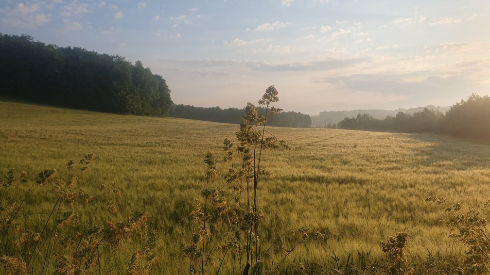 Babosdöbréte