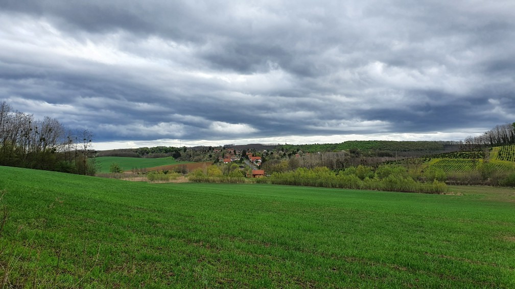 Babosdöbréte