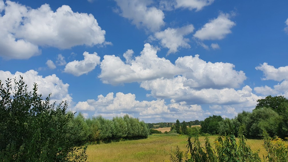 Babosdöbréte