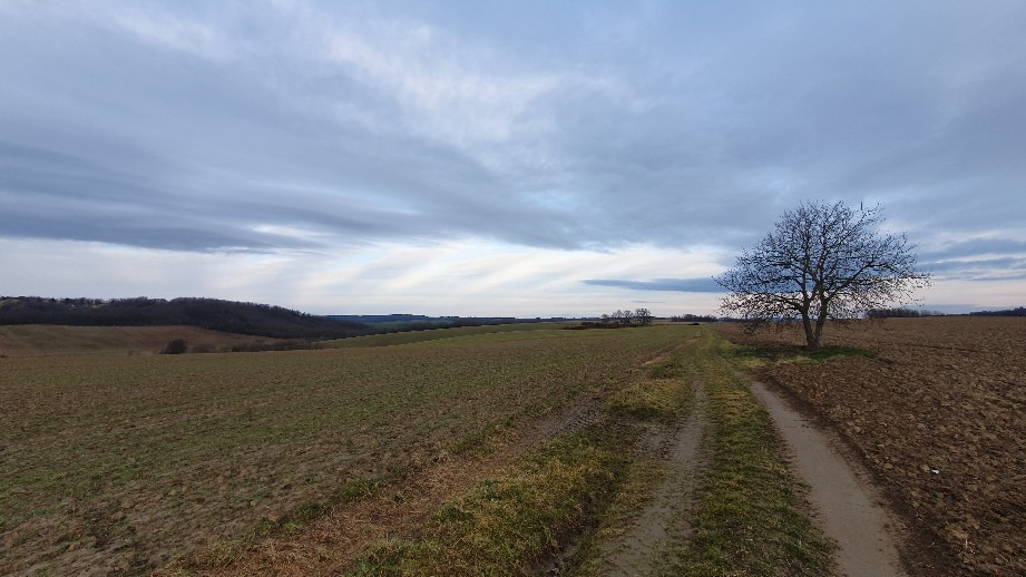 Babosdöbréte