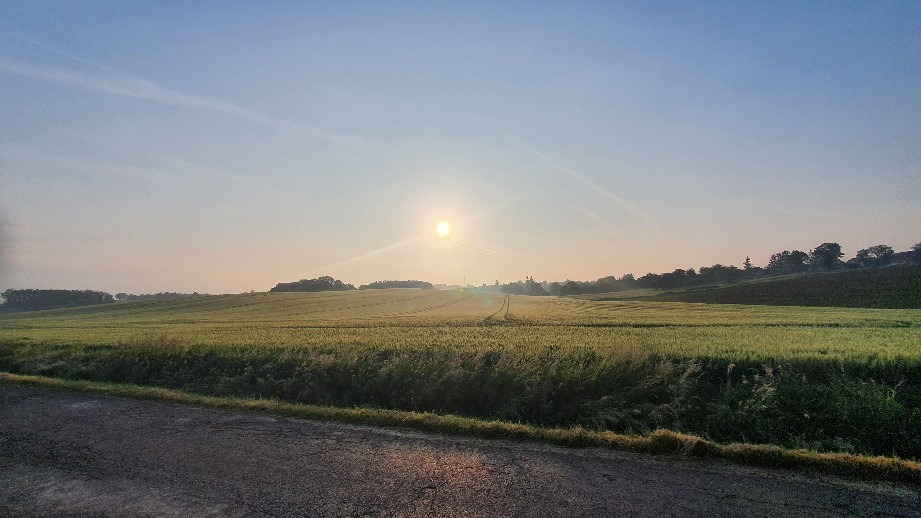 Babosdöbréte