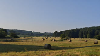 Babosdöbréte