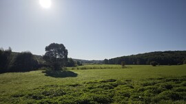 Babosdöbréte