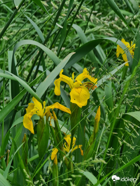 A Velencei-tónál