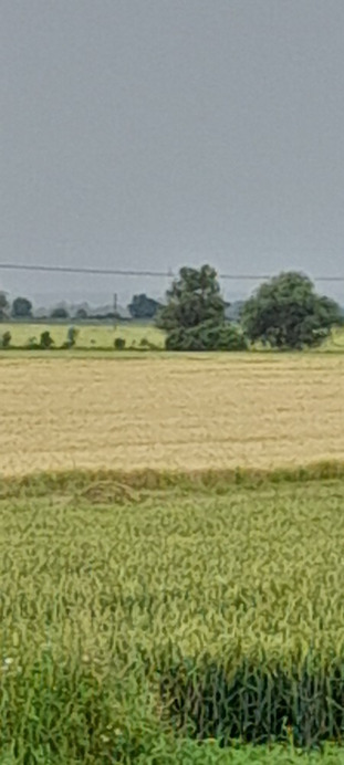 Tiszapüspöki