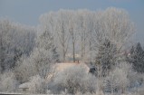 Bátonyterenye