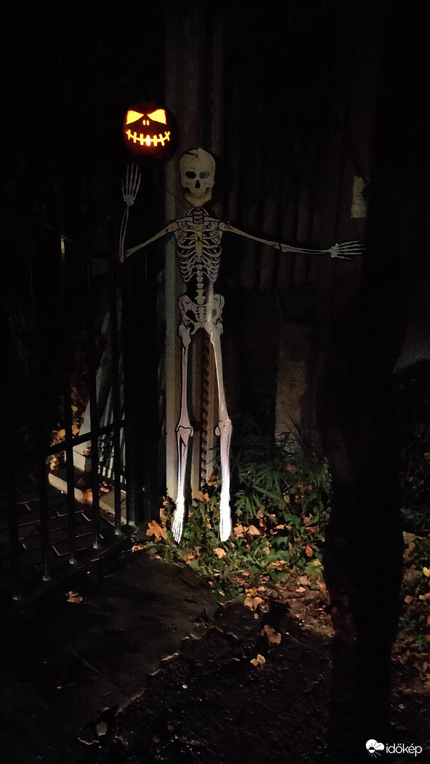 Vendégváró