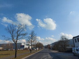 Wombach