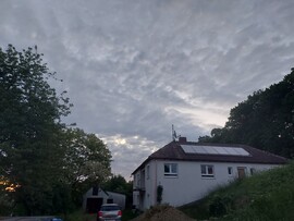 Waldzell