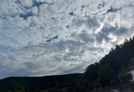 Langenprozelten